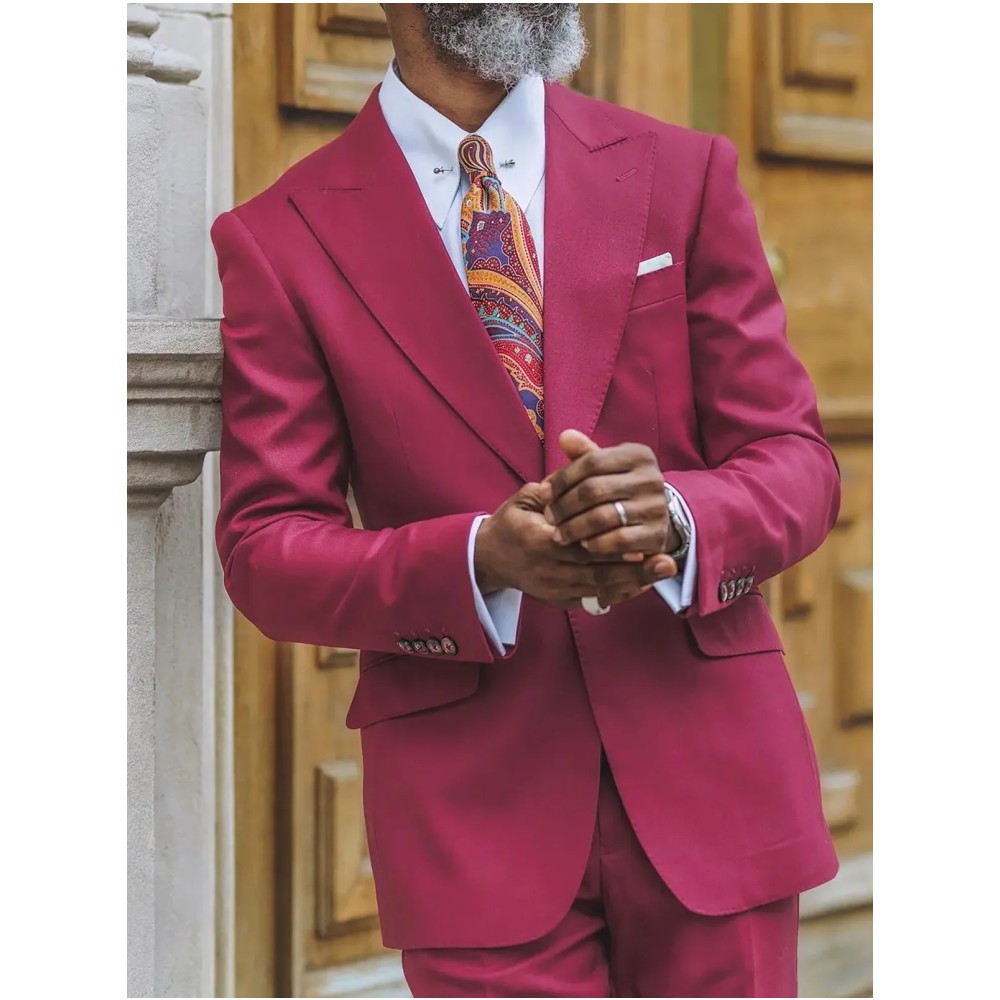 New Men Suits Regular Fit 2 Pi - Men Formal Party Wear Dress recensie en prijs